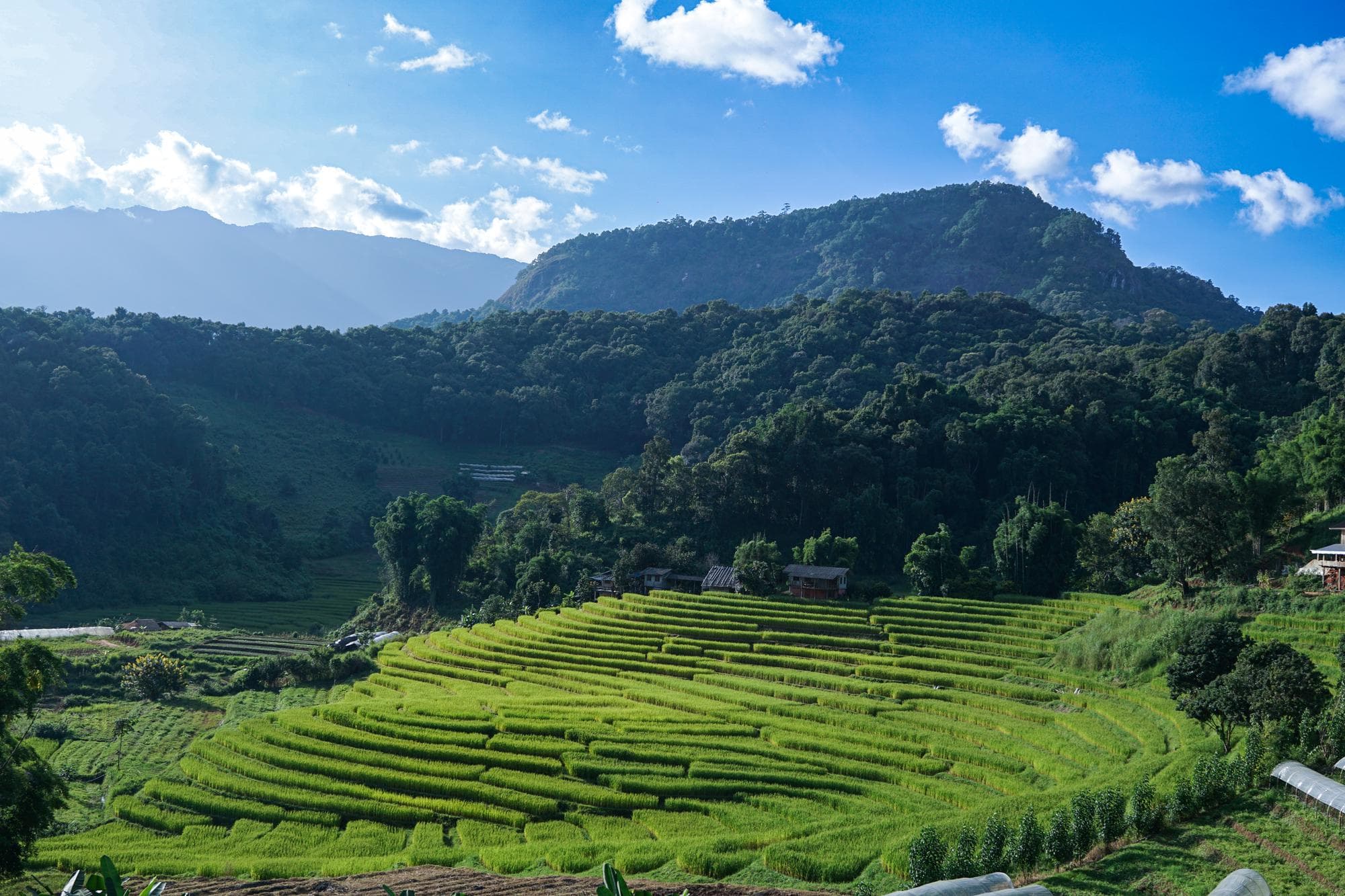 Darjeeling highlight