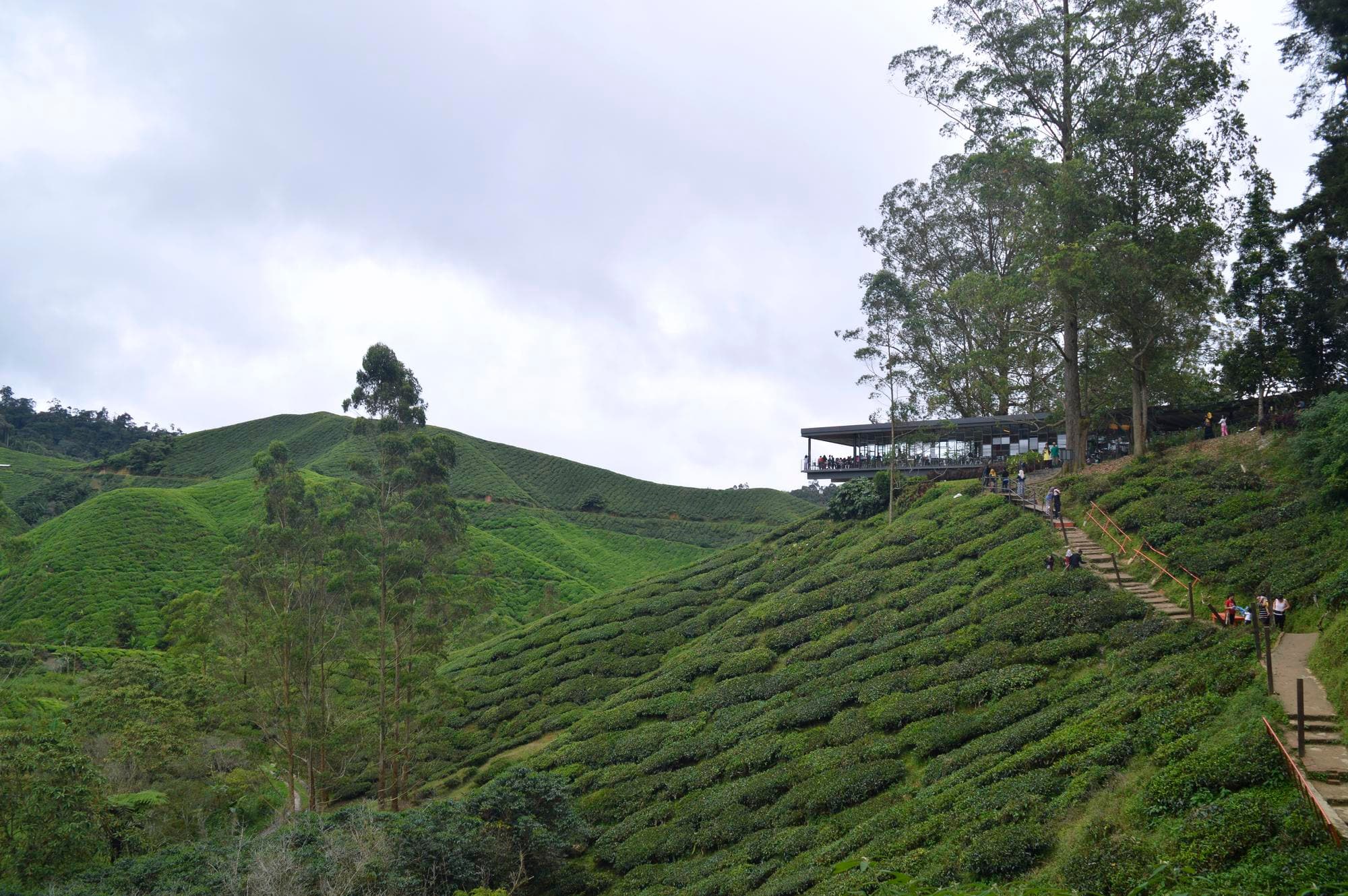 Reshikhola