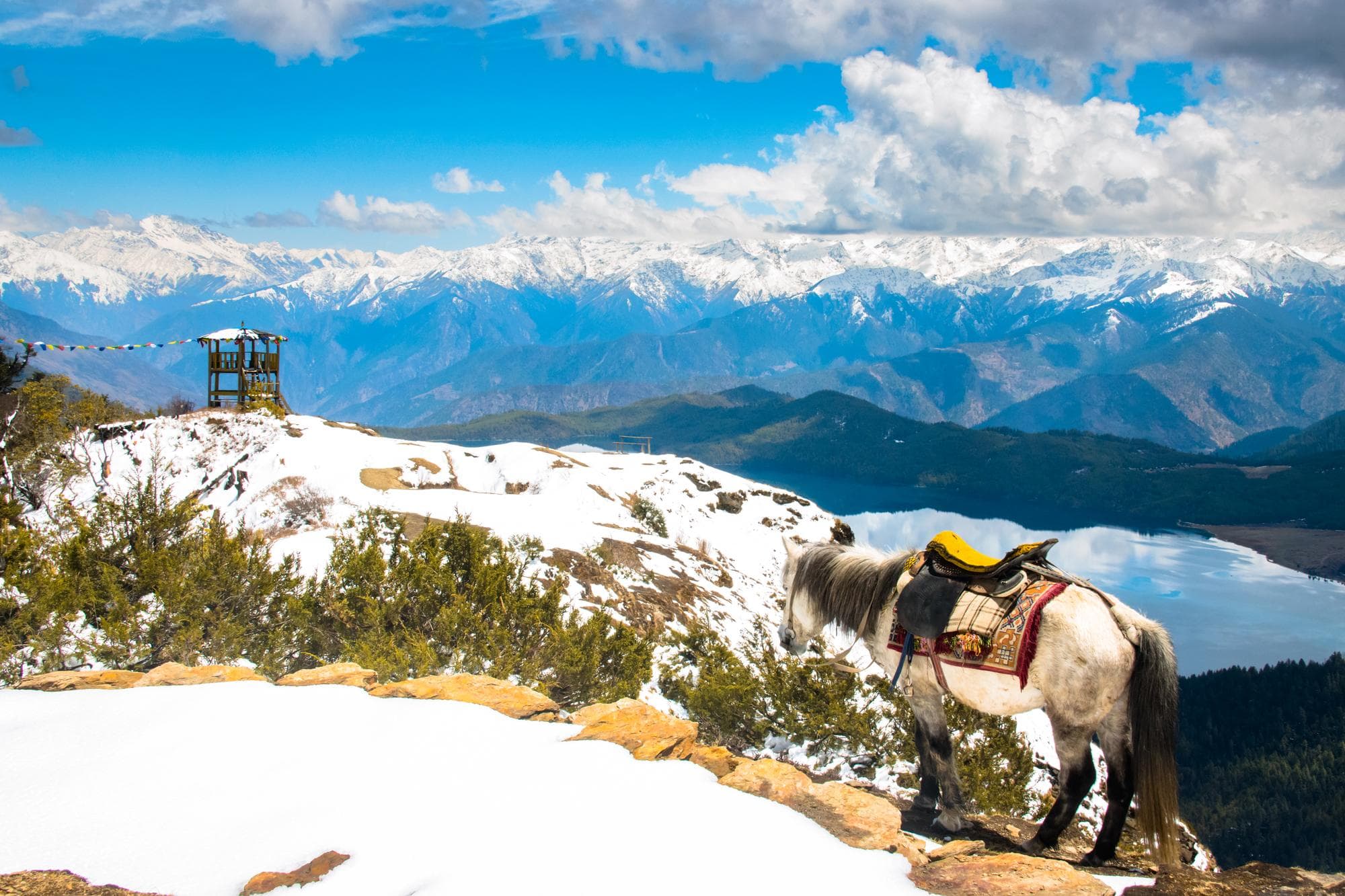 Pelling