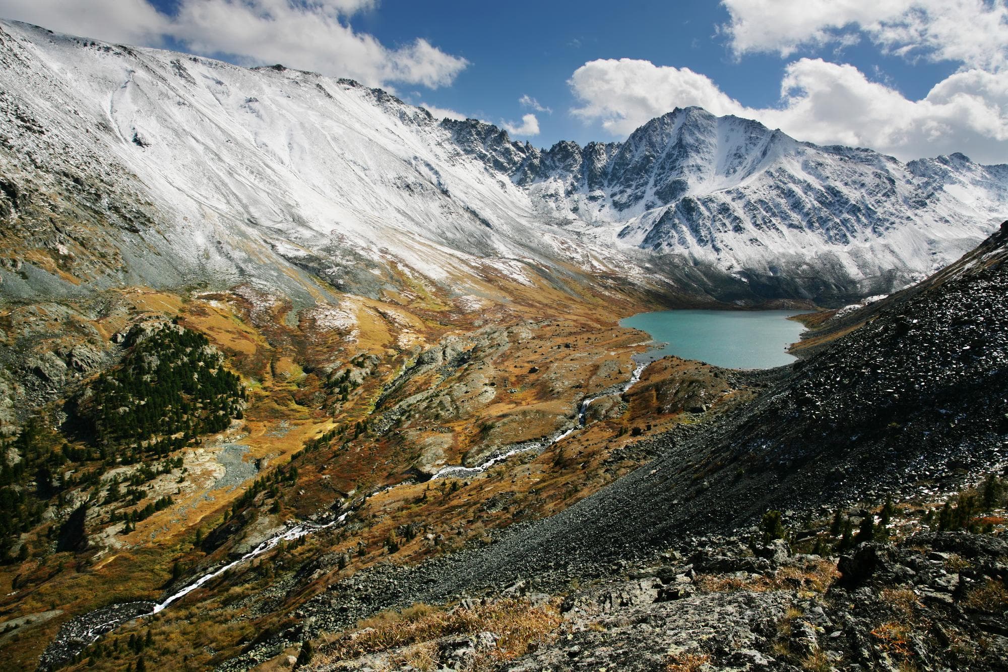 Zuluk